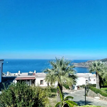 Flat In Yalika * גונדוגן